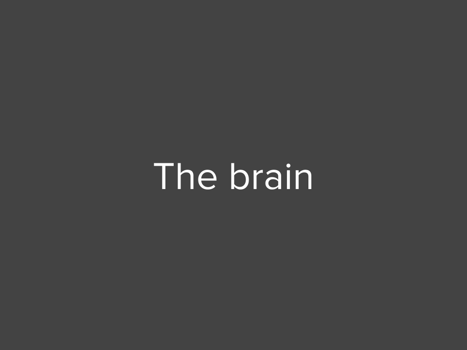 The brain